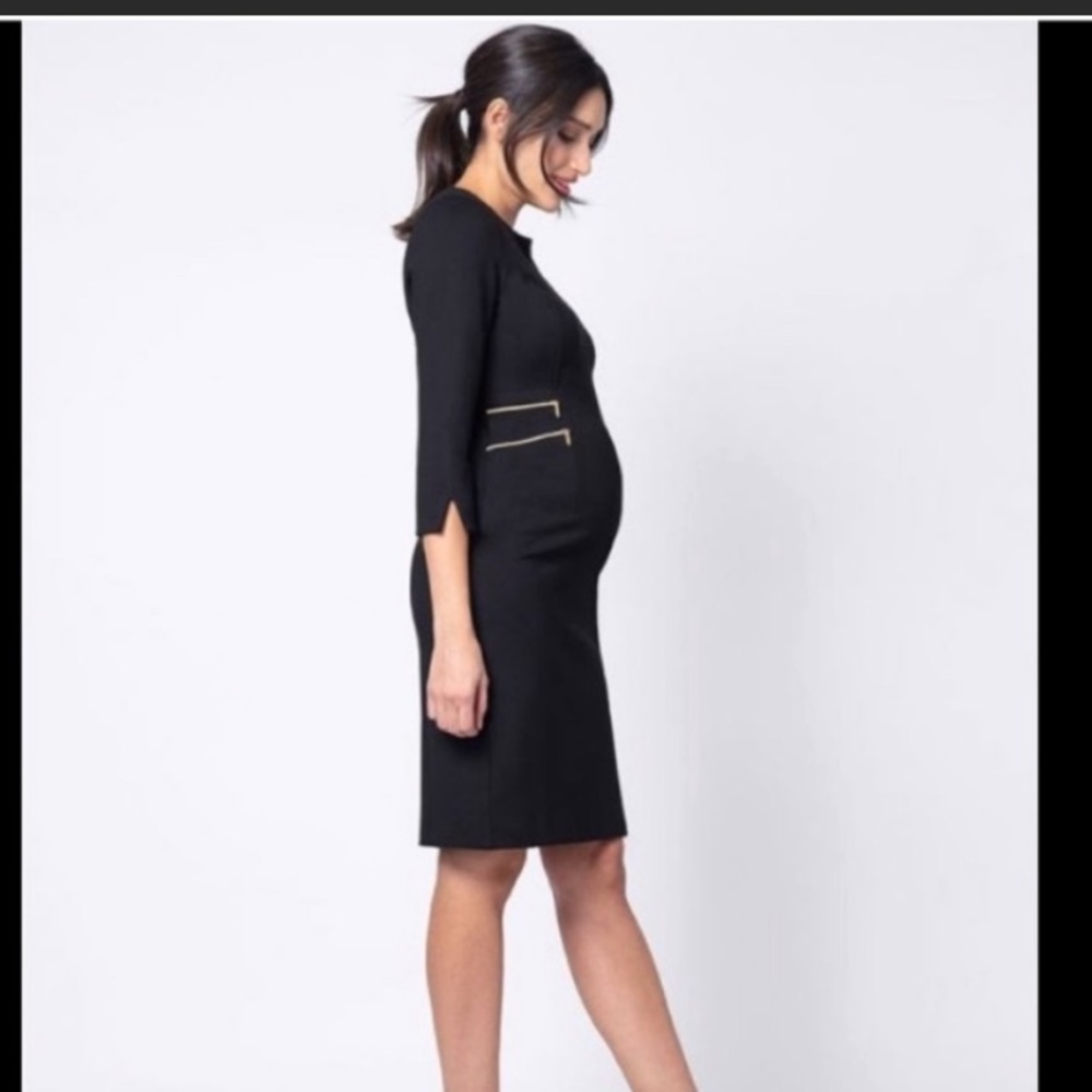 NWOT Seraphine Maternity Zip Detail Dress